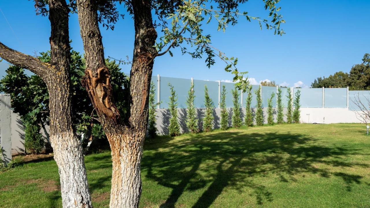 Karavos Apartments Almyros Παραλία Αλμυρού Εξωτερικό φωτογραφία